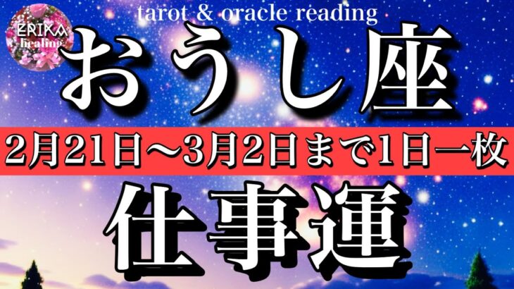 おうし座♉️2月22日から3月3日までの仕事運タロット1日一枚引き！Taurus tarot reading