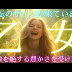 【乙女座👑今が辛い、苦しい方、状況が変わるとき🎊転機の前兆や嬉しい出来事⁉️お金、人間関係、仕事。頑張るあなたへ🙌CHIMA✨タロット占い＆オラクルカードリーディング🔮星座別】