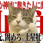 【山羊座】土星の最終宣告。今のままでは「通用しない」現実。覚悟を決めた人だけが生き残る3年間【Yokoの部屋・秘蔵タロット公開】