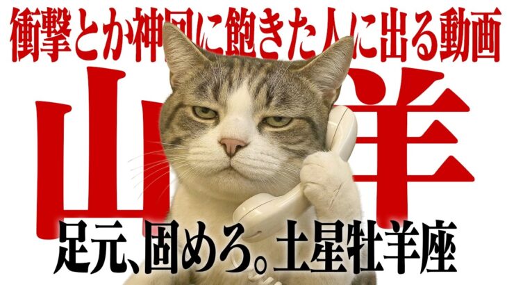【山羊座】土星の最終宣告。今のままでは「通用しない」現実。覚悟を決めた人だけが生き残る3年間【Yokoの部屋・秘蔵タロット公開】