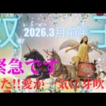 【2026.3月前半🌸】双子座さんの運勢♊️緊急です😳愛が一気に芽吹く🌱🌱💕💕