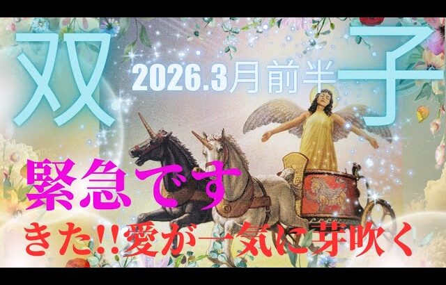 【2026.3月前半🌸】双子座さんの運勢♊️緊急です😳愛が一気に芽吹く🌱🌱💕💕