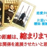 🌹恋愛タロット占い🌹ふたりの距離は、縮まりますか？あの人は私との関係を進展させたいと思ってる？お相手様のあなたへの気持ちと今後の動き　片思い カップル 複雑 曖昧 復縁 年の差 遠距離etc..