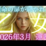 【乙女座👑2026年3月💫】とんでもない領域に入ります😳CHIMA✨タロット占い＆オラクルカードリーディング🔮星座別⭕️
