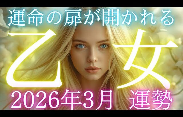 【乙女座👑2026年3月💫】とんでもない領域に入ります😳CHIMA✨タロット占い＆オラクルカードリーディング🔮星座別⭕️