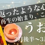 うお座♓️2026年2月後半〜3月前半🌝 もう遠慮はいらないかも、終了はよみがえりのサイン、今が1番新しい、立て直しの希望見えて来る