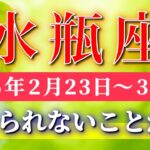 水瓶座 【 みずがめ座 ♒ 】毎週タロット( 2026年2月 23日の週) 覚醒の分岐点！自分軸に戻った瞬間すべてが動く✨🔑 Aquarius タロット占い タロットリーディング