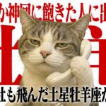 【3年保存版】来たる！2026年土星牡羊座入りおひつじ座｜海王星と土星の強い波を味方につける【眠れる深堀り解説】