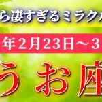 魚座 【 うお座 ♓ 】毎週タロット( 2026年2月 23日の週) ミラクル前夜！気持ちを整えた先で運命が動く✨🔑 Pisces タロット占い タロットリーディング