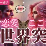 まさかの今すぐ急展開で春くる人います😳🌸あなたのことで頭がいっぱいのお相手おる🩷グランタブローで3ヶ月以内の恋愛展開占いました🩷［tarot /タロット/恋愛成就/チャネリング/オラクル/ルノルマン］