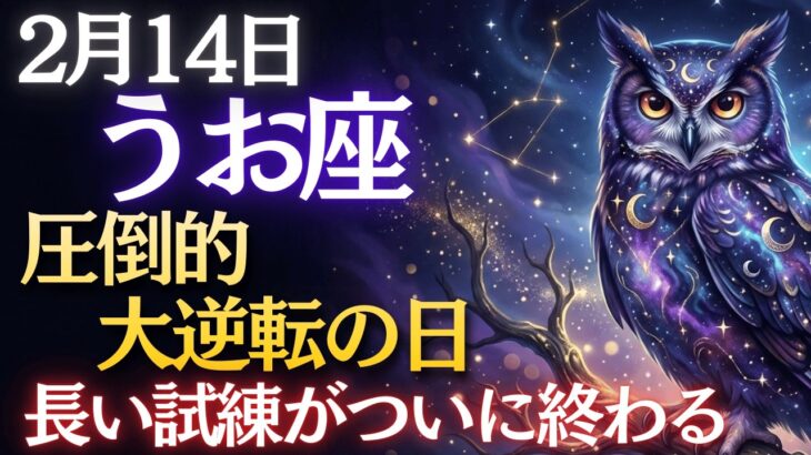 【魚座♓】2月14日までに見てください！今まで本当によく耐えましたね✨報われない苦しみが強制終了します。
