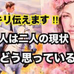 【2人の現状】あの人はどう思っているのか、ありのままを言います🔥恋愛タロット｜個人鑑定級に当たる占い｜ルノルマン｜オラクルカード細密リーディング