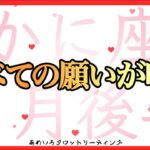 【かに座♋️２月後半】全ての願いが叶うから💖我慢は終わり‼️貪欲に取りに行こう🌈✨