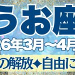 【うお座】3月~4月前半運勢　魚座さん、心が軽くなるよー💛お誕生日おめでとう🎂✨まさに自由！！羽が生えたように軽くなるからね！！！【魚座 ３月】【魚座 ４月】【魚座2026年】タロット