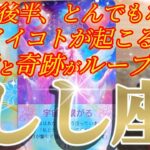 獅子座さんの2月後半は、宇宙が直接アナタのハートに訴えかけています！😲✨♾️タロット占い♾️