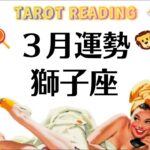 獅子座の人生に虹が架かるんだ。祝福される未来。ぜんぶ報われるんだ。2026年3月全体運勢💘仕事恋愛不安解消評価や印象💘個人鑑定級タロットヒーリング Tarot & Oracle