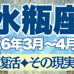 【みずがめ座】3月~4月前半運勢　水瓶座さん完全復活。その現実、動き始めます。ここから3か月間、かなり強い運勢です💪【水瓶座 ３月】【水瓶座 ４月】【水瓶座2026年】タロット