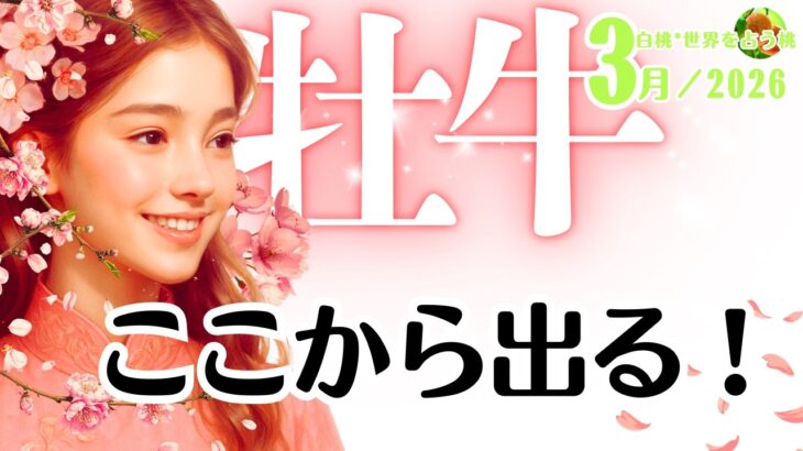 牡牛座♉️2026年3月☆ここから出る！