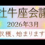 【牡牛座会議】3月✨あなたを助けたいスピリットガイドからメッセージ｜オラクルカードリーディング