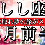 しし座♌️3月前半全体運タロット🌕力みは取れ夢の旅がスタート！Leo tarot reading