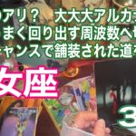乙女座♍️こんなのアリ？　大大大アルカナ祭り！　現実がうまく回り出す周波数へ切替完了　チャンスで舗装された道を進む時
