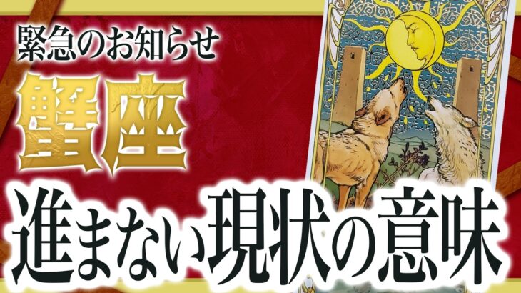 【2月22日までにみて】レベルが違います…!!蟹座さんが今進めない意味をすべて占いました【重要な停滞期】 Akari先生