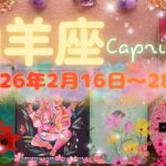 山羊座★2026/2/16～28★本当に自分がしたいことを始める、本当の自分の人生を生きる✨努力が認められて、正式な契約を正式な関係を結ぶ時（＋ラッキーアクション）