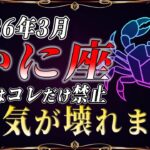 【かに座♋】3月3日このサインを見逃さないで‼️助けが入る直前の合図【金運　12星座占い】