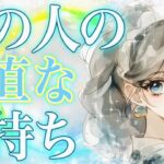 タロット占い恋愛【核心すぎる本音】お相手の正直な気持ち🔮今この瞬間、何を考えてる？🌸過去動画