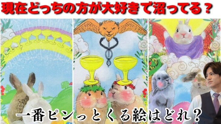 【底なし沼注意報❤️‍🔥🚨】現在あの人と私どっちが大好きなの？独占欲/嫉妬心/執着心、沼り度合いを徹底深掘り🩷二人の愛の強さから沼り度を比べて、彼と私の本音＆未来への決意を男心×タロットで丸ごと解読💗