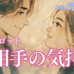 【気持ちの温度、上がる？下がる？どっち？】恋愛タロット お相手の気持ち🌙 タロットカードで深掘りリーディング🔮