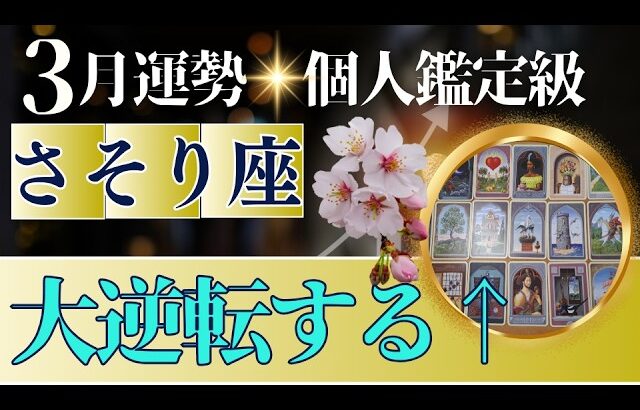 【蠍座♏️3月運勢】うわっすごい！個人鑑定級のグランタブローリーディング✨停滞からの大逆転！お金の神の恩恵を受け取って　満月から運命が書き換わる（仕事運　金運）タロット＆オラクル＆ルノルマンカード