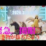 【2026.3月前半🌸】射手座さんの運勢♐️緊急。開眼👁️✨憑き物が落ちたよう🥰