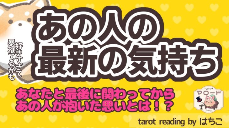 愛があふれてる💘あの人があなたとの関わりの中で抱いた、最新の気持ち🐶
