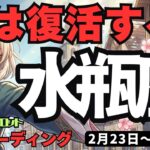 【水瓶座】♒️2026年2月23日の週♒️損得抜きで突き進め！「私は復活する」—自分を信じた人だけに起こる大逆転。
