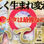 射手座さんは自分らしくあればいい！それが最強😲✨【2月中旬運勢】♾️タロット占い♾️