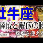 『牡牛座♉️2026年2月後半😆』間も無くゴールへ！！✨迷いから答えが見つかる❤️✨😆仲間が増える！仲間に頼る！☀️🥰