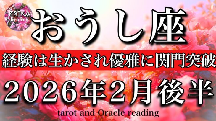 おうし座♉️2026年2月後半リーディング🌕大アルカナ5枚❤️‍🔥経験は生かされ優雅に困難を超える！Taurus tarot reading
