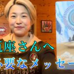 【水瓶座さんへ】今必要なメッセージ