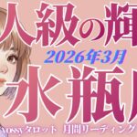 3月の運勢🦋みずがめ座　何も心配いらない❗️ 超無敵モード突入‼️✨あなた本来の魅力でグンッグン進んでいく(お金・仕事・人間関係)