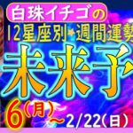 ★忖度なし★2026年2月16日〜2月22日の星座別☆週間未来予報★運気を上げるアドバイスつき★