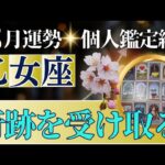 【乙女座♍️3月運勢】うわっすごい！個人鑑定級のグランタブローリーディング✨準備されているから大丈夫！奇跡を受け取って　満月から運命が書き換わる（仕事運　金運）タロット＆オラクル＆ルノルマンカード