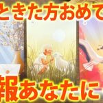 近々あなたにくる朗報🌸サイン見逃しもったいない［タロット占い］
