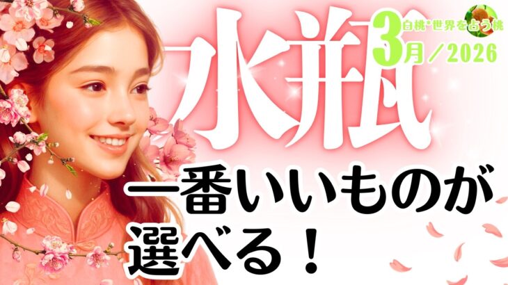 水瓶座♒️2026年3月☆一番いいものが選べる！バランスを最適にする３月