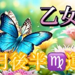 【乙女座】2月後半の運勢❤️大吉！！こ、こ、これはすごい😳願いが叶う❤️‍🔥以心伝心🌈GO!GO!ハッピーサプライズ🎁マンスリー　2026年　タロット占い