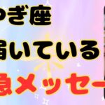 【山羊座】何を目指して良いか分からない人にチャンス到来❗️❣️ ＃タロット、＃オラクルカード、＃当たる、＃占い