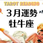牡牛座いいぞ！！！３月は予想以上の大収穫＆大活躍期だ。凄いなこれは。2026年3月全体運勢💘仕事恋愛不安解消評価や印象💘個人鑑定級タロットヒーリング Tarot & Oracle