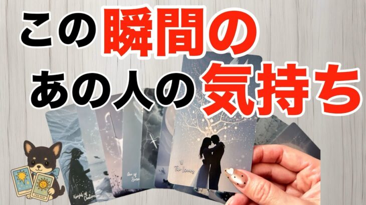 【今すぐ見て‼️】この瞬間のあの人の気持ち✨