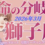 3月の運勢🦋しし座　ど、どうなってんの⁉️運気に愛される✨いよいよ獅子座の時代がきますね‼️(お金・仕事・人間関係)