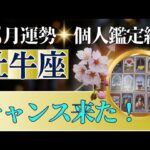 【牡牛座♉️3月運勢】うわっすごい！個人鑑定級のグランタブローリーディング✨辛いこと終了✨チャンスが次々にやって来る　ミラクルギフト受け取って（仕事運　金運）タロット＆オラクル＆ルノルマンカード